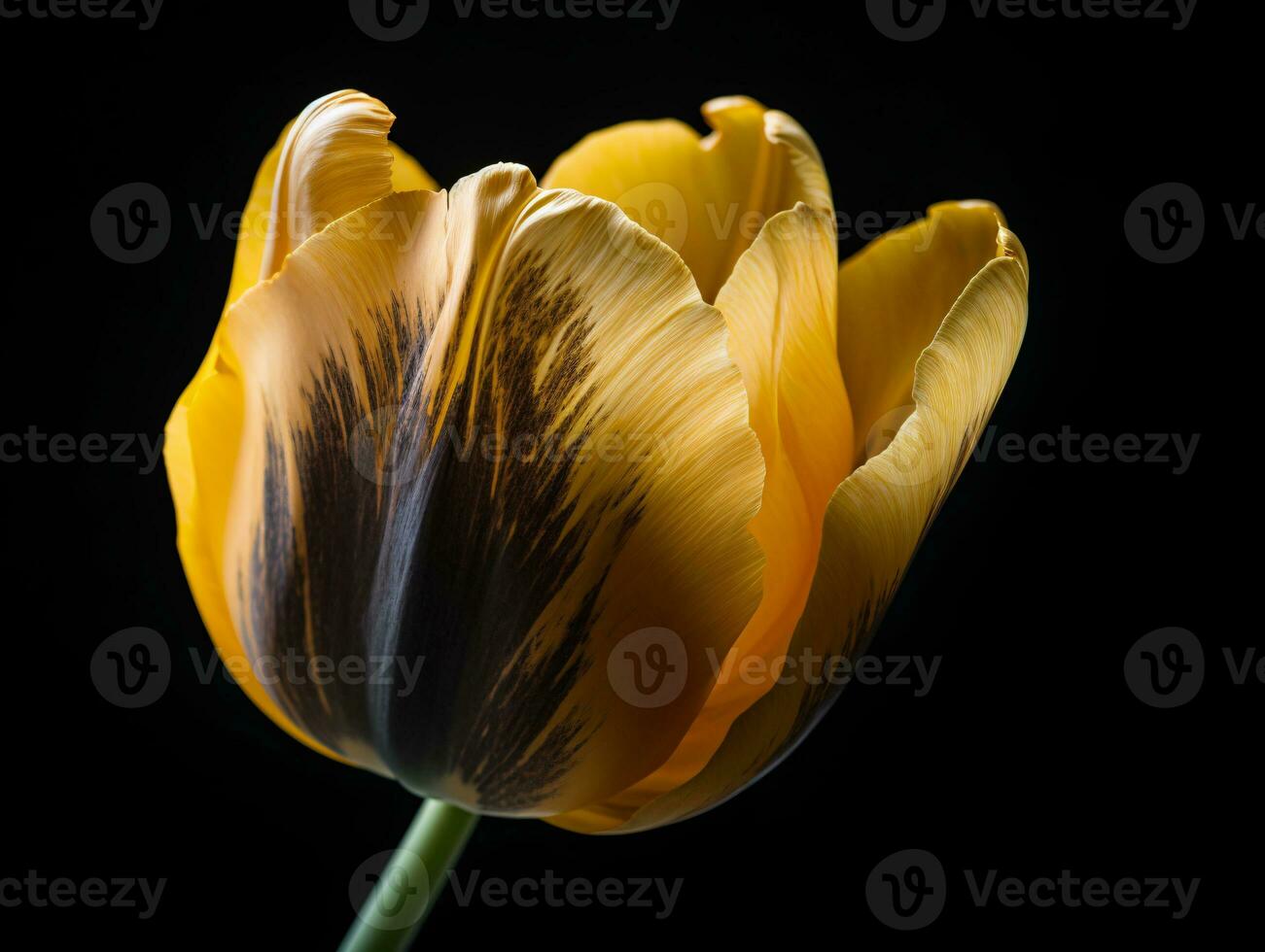 il arte di macro fotografia - esplorando il struttura e colore di un' giallo tulipano - ai generato foto