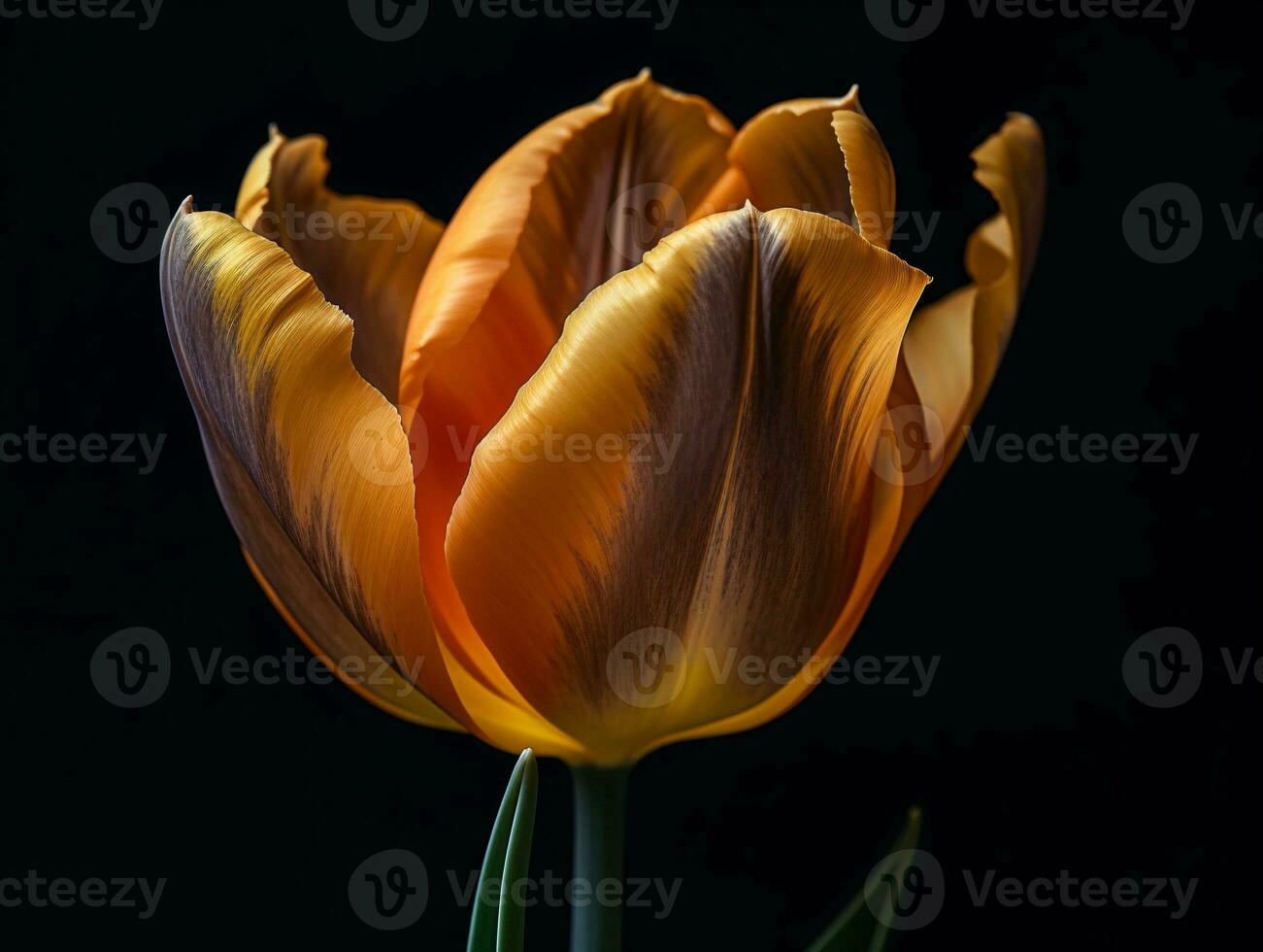 cattura il bellezza di un' giallo tulipano - un' macro fotografia studia - ai generato foto