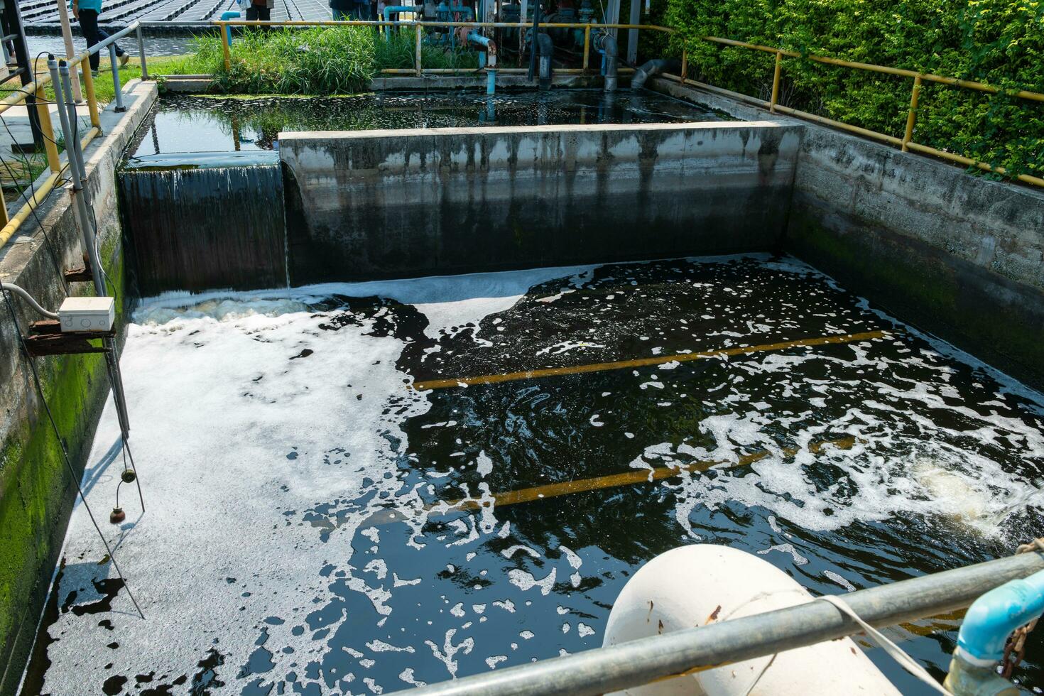 rifiuto acqua nel stagno, acque reflue e pericoloso rifiuto foto