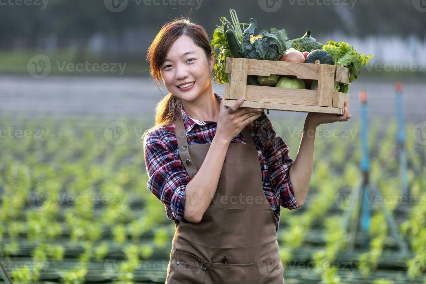asiatico donna contadino è trasporto il di legno vassoio pieno di appena raccogliere organici verdure nel sua giardino per raccogliere stagione e salutare dieta cibo foto