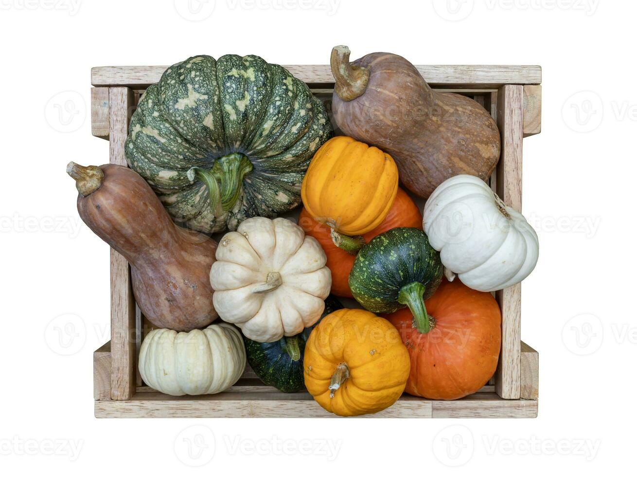 superiore Visualizza di varietà di autunno raccogliere con organici zucche, schiacciare e zucca dentro il di legno cestino per ringraziamento e autunno agricoltura stagione produrre concetto foto