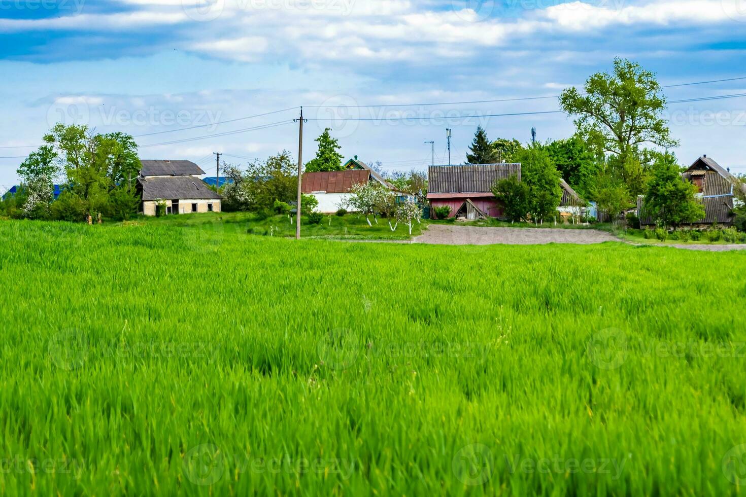 bellissimo orizzonte scenario nel villaggio prato su colore naturale sfondo foto