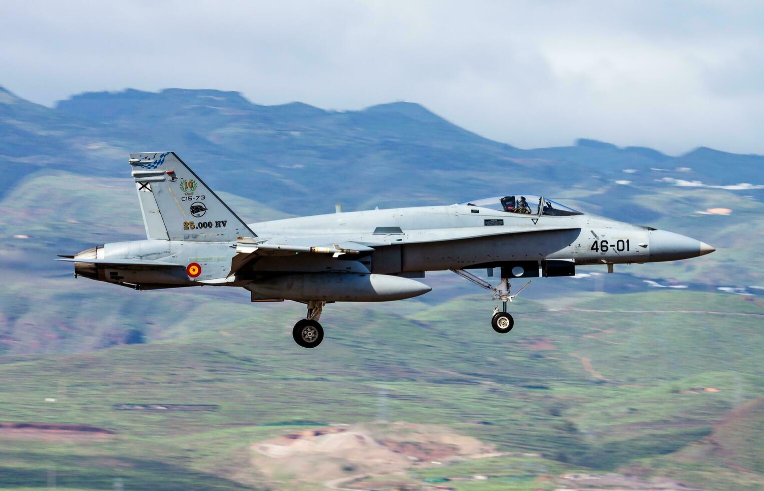 militare combattente Jet aereo a aria base. aria vigore volo operazione. aviazione e aereo. aria difesa. militare industria. volare e volare. foto