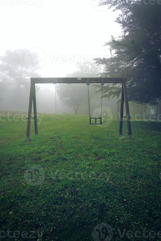 mattina nebbiosa di primavera foto