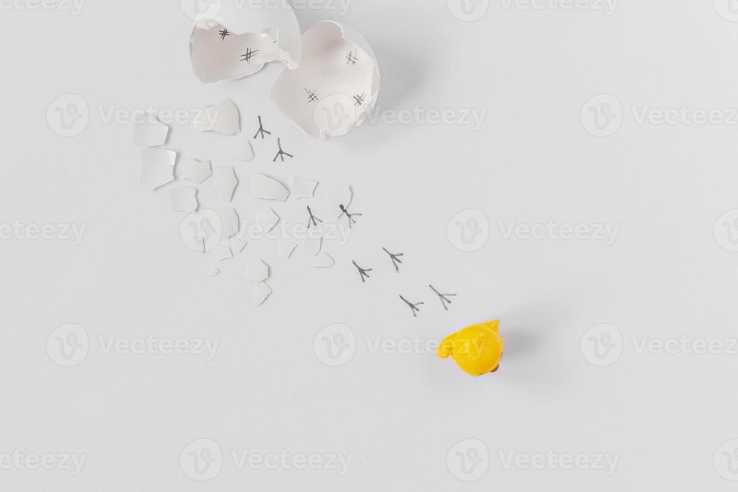 Guscio d'uovo bianco di un uovo di gallina rotto con cocci e impronte di un pulcino isolato su uno sfondo bianco foto
