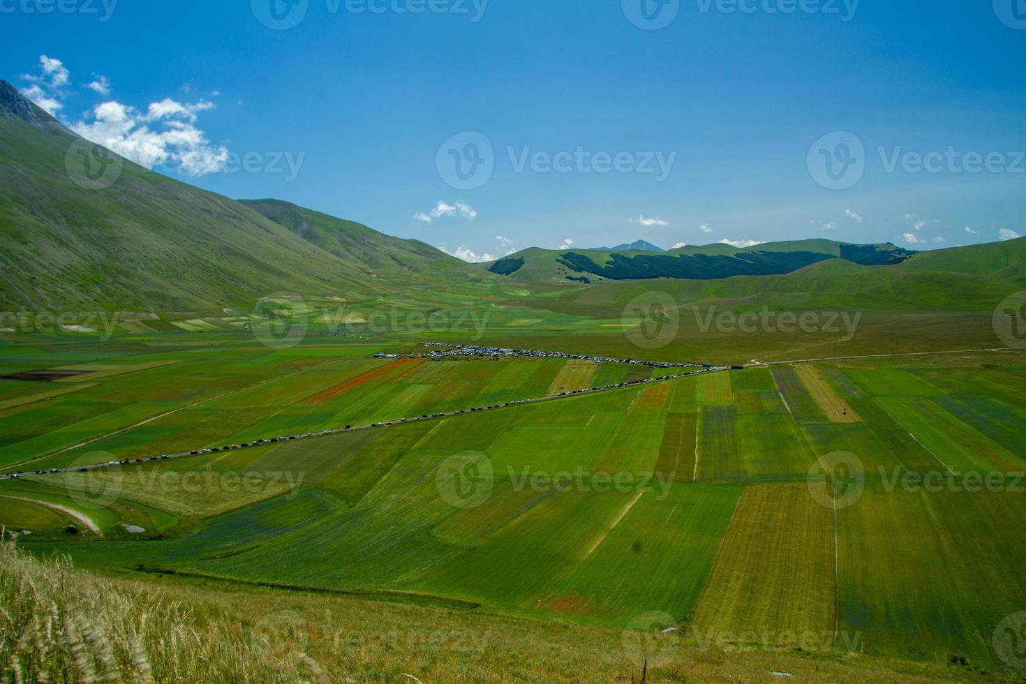 castelluccio di norcia e la sua natura fiorita foto