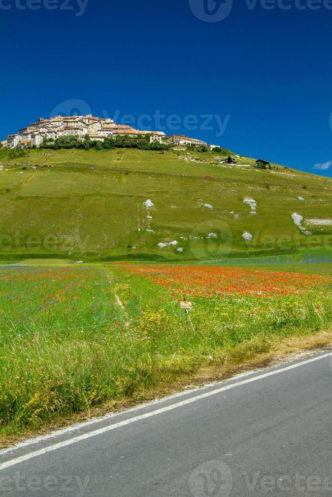 castelluccio di norcia e la sua natura fiorita foto