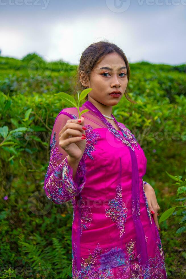 un asiatico donna nel un' rosa vestito è in piedi nel davanti di un' tè giardino foto