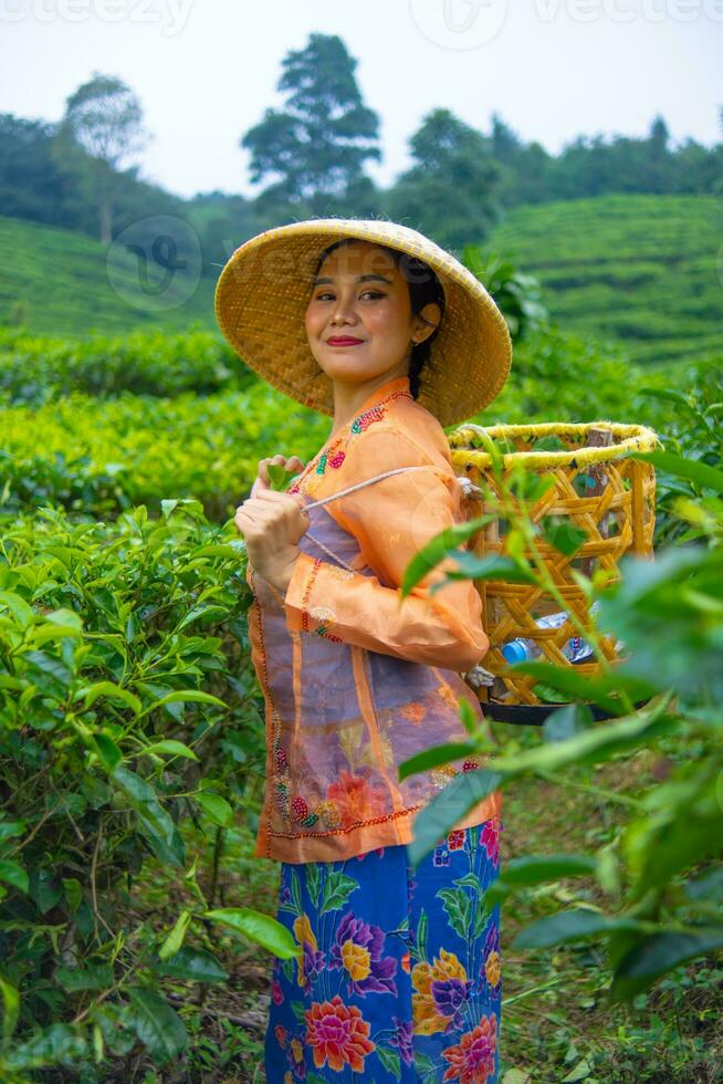 un indonesiano donna Lavorando come un' tè piantagione contadino indossare un arancia camicia foto