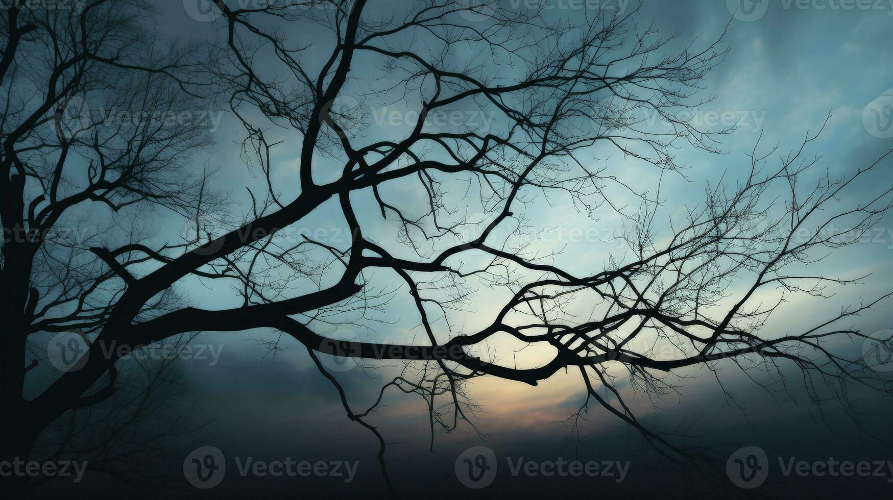 schema di alberi e rami su il cielo. silhouette concetto foto
