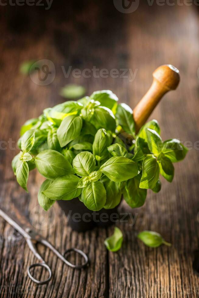 fres basilico le foglie nel mortaio su di legno tavolo foto