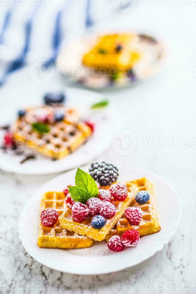 fresco cialde con frutti di bosco zucchero polvere formica menta le foglie. foto