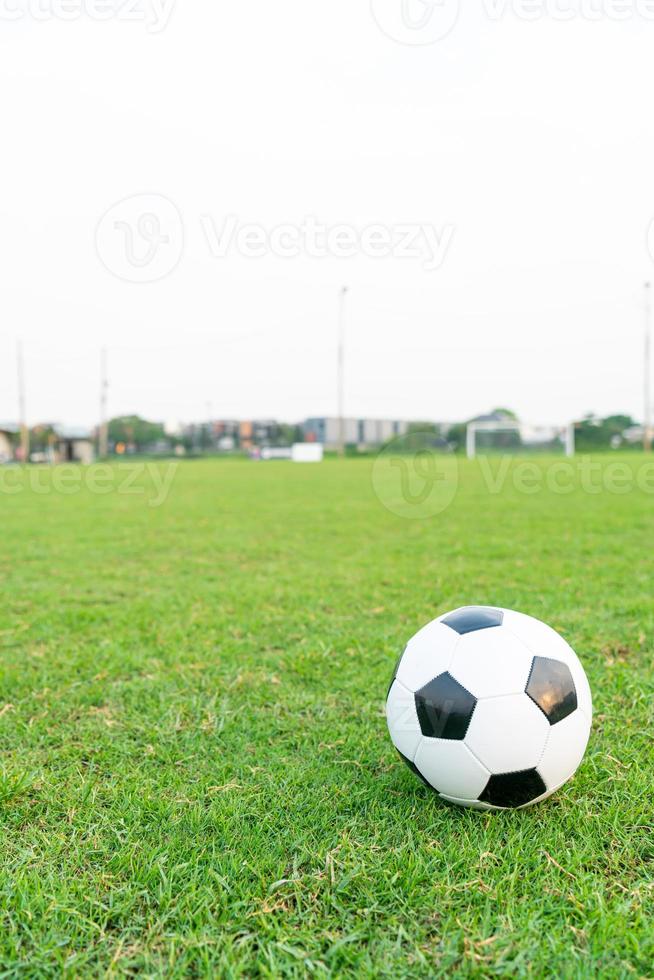 pallone da calcio sul campo da calcio foto