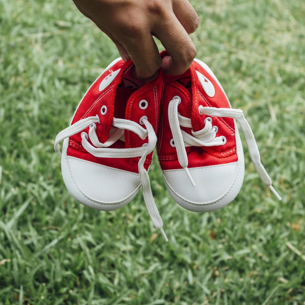 graziose scarpe di tela rosse piccole sull'erba foto
