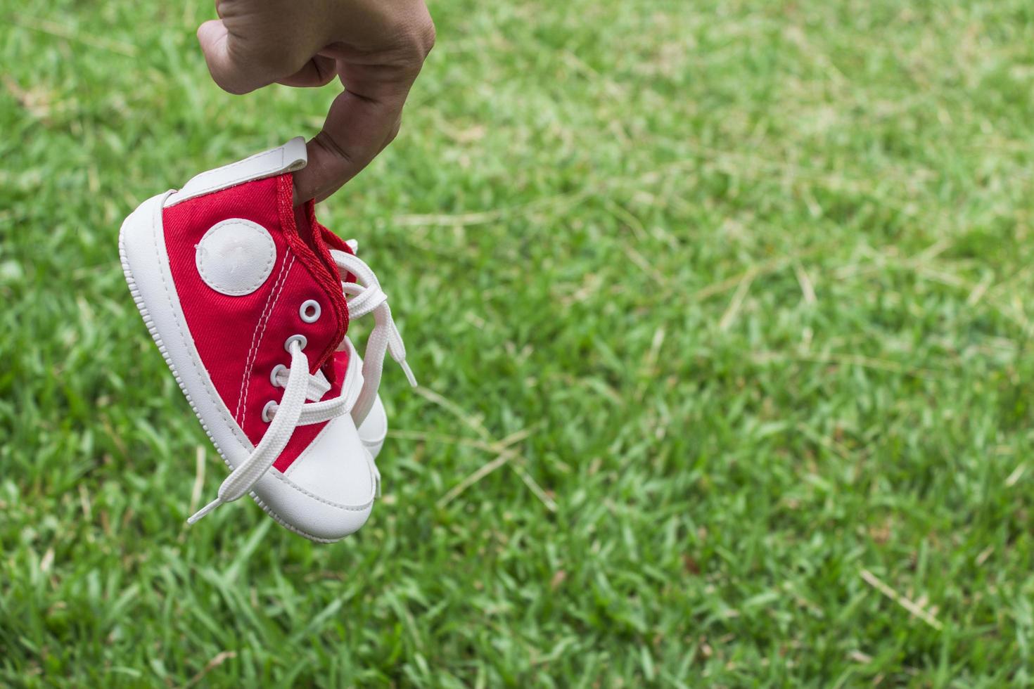 graziose scarpe di tela rosse piccole sull'erba foto