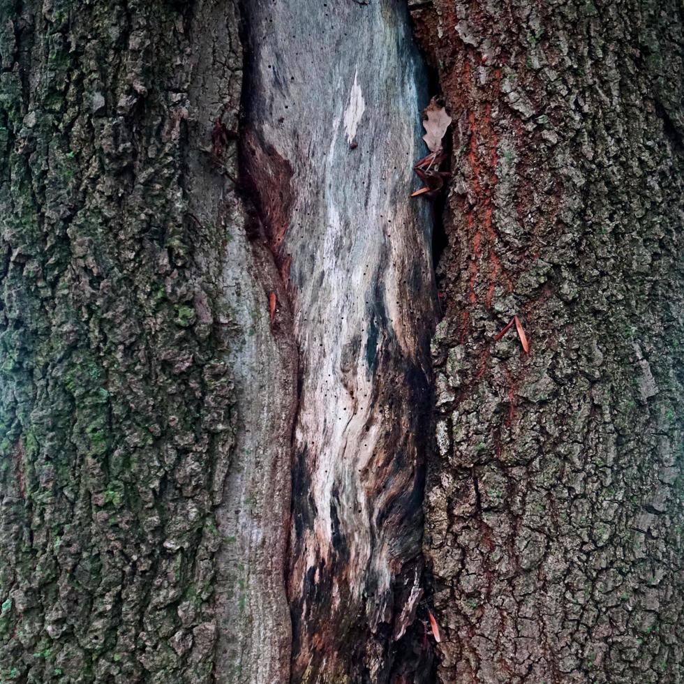 sfondo astratto strutturato in legno foto