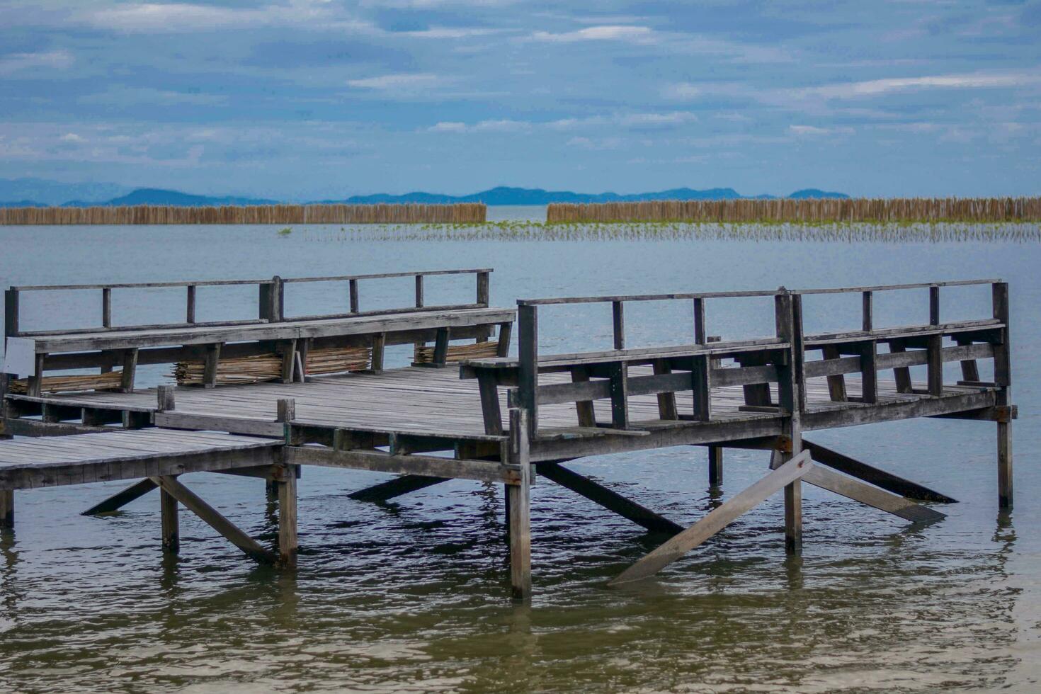 di legno ponte su il fiume verde alberi accanto il blu cielo su un' soleggiato giorno foto