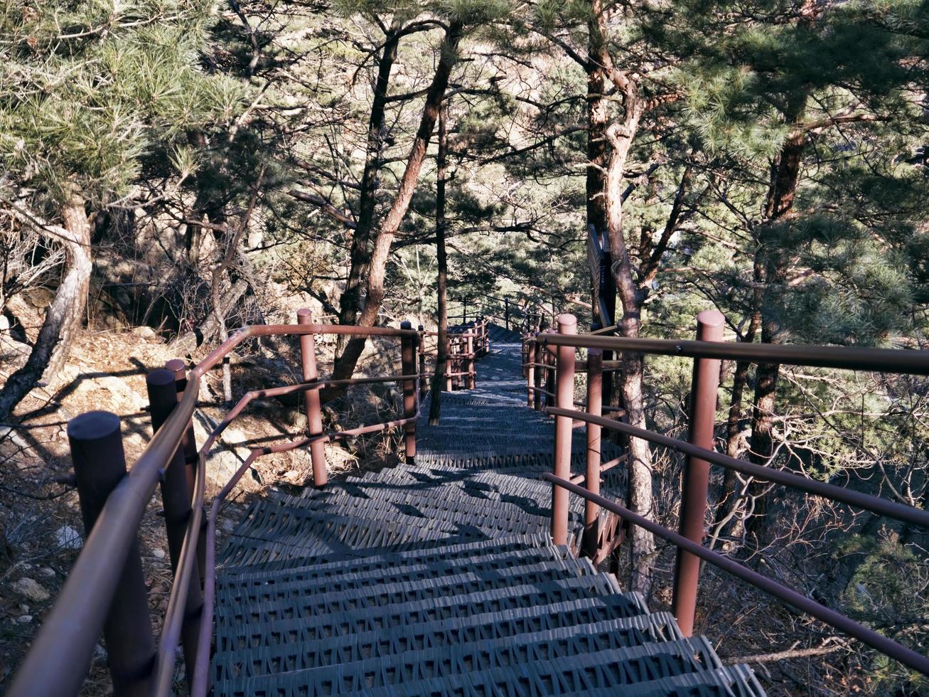 lunga scalinata nel parco nazionale di seoraksan, corea del sud foto