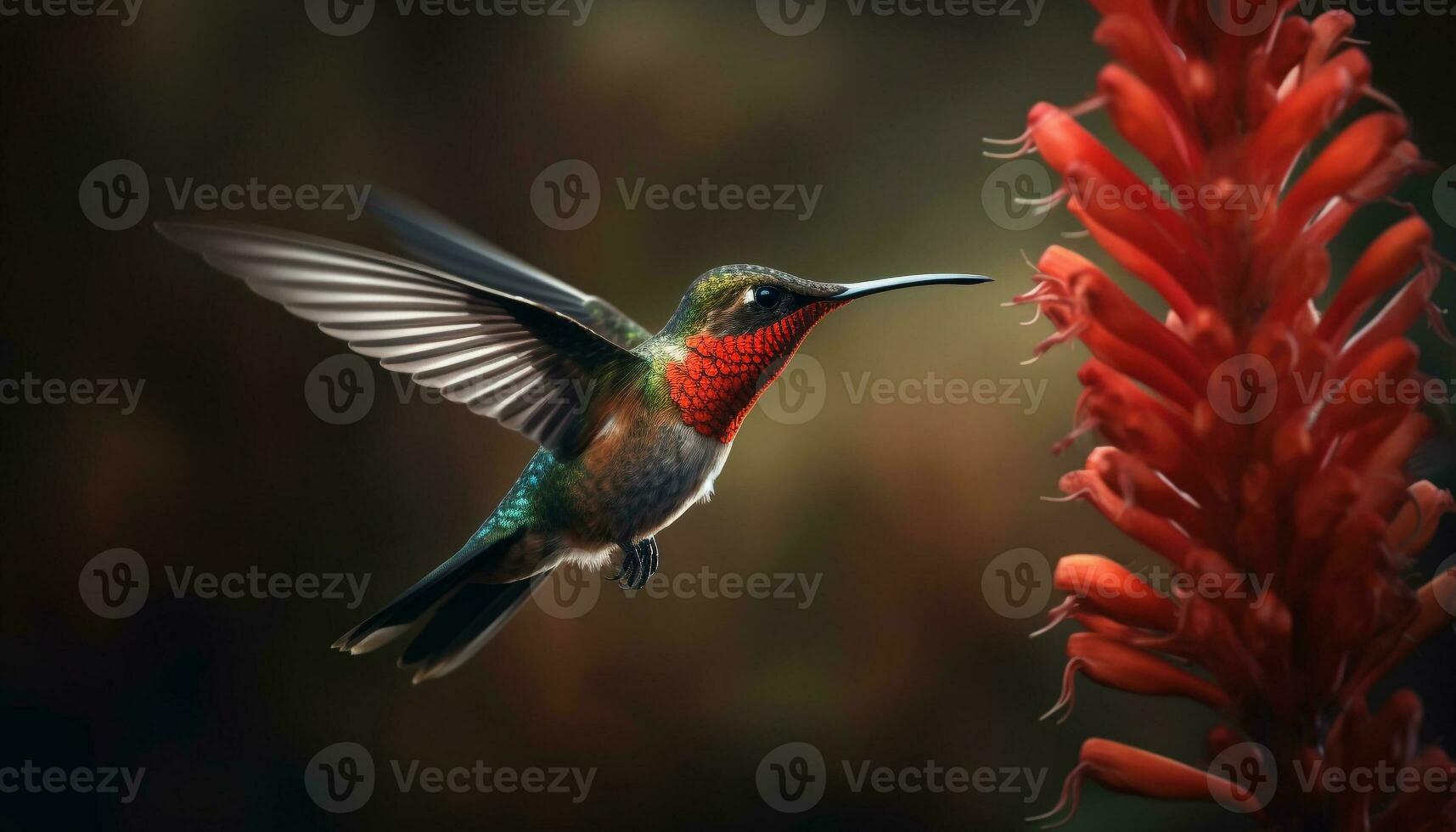 colibrì aleggia, piume iridescente, volante vicino su, bellezza nel natura generato di ai foto