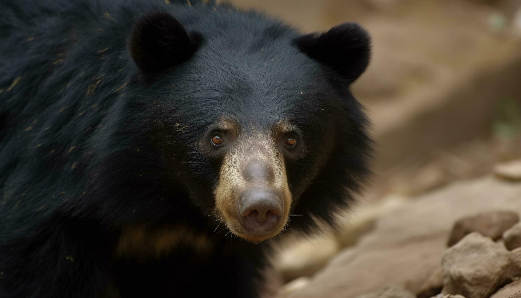 carino panda nel nevoso foresta, guardare a telecamera con la tranquillità generato di ai foto