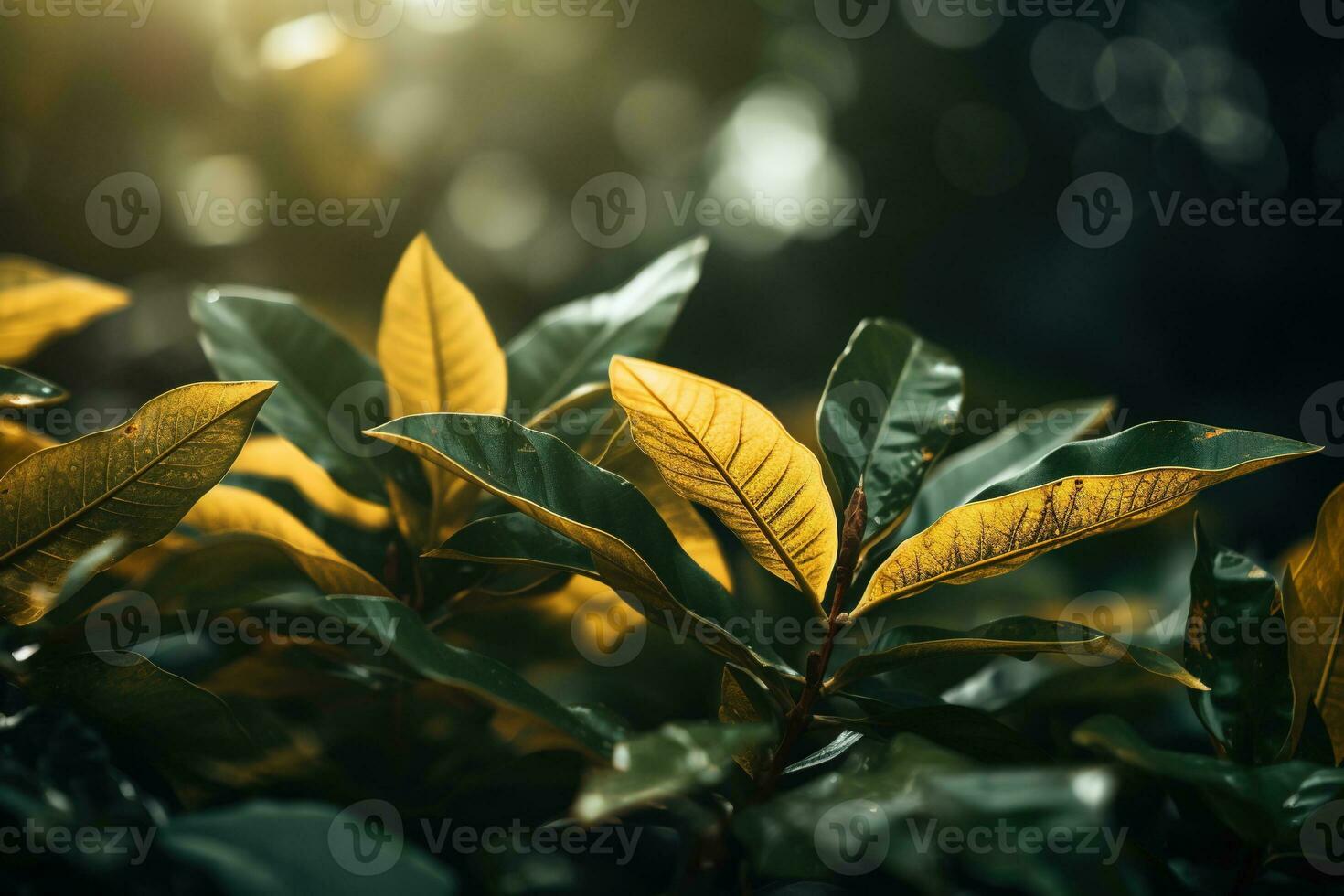 vicino su di bellissimo autunno le foglie con acqua gocce. naturale sfondo ai generato foto