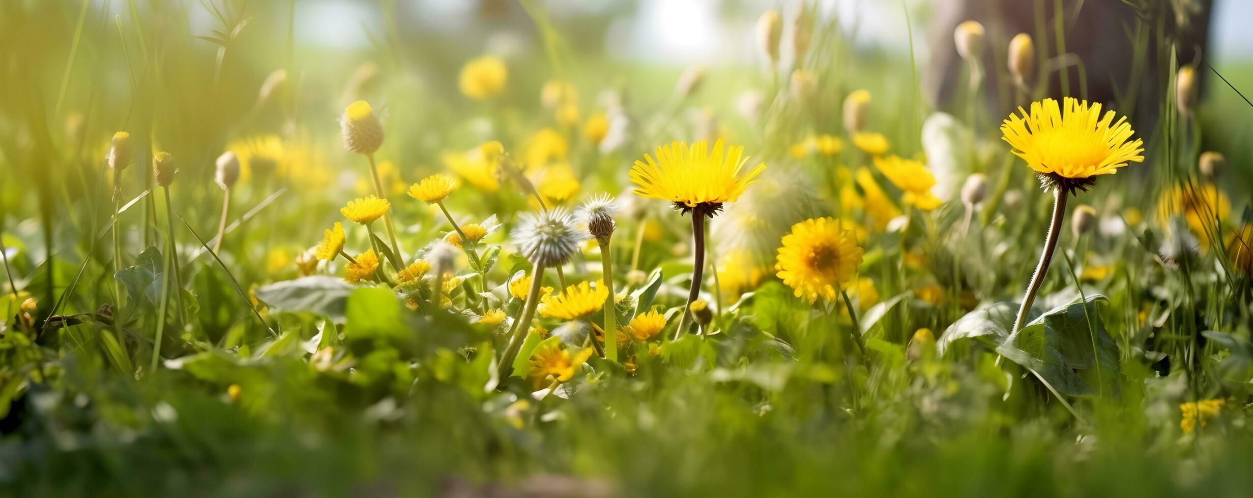 bellissimo cosmo fiore campo. generativo ai foto