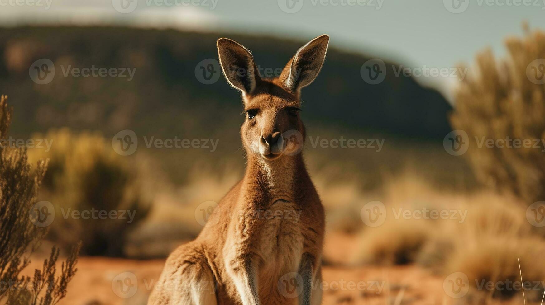 canguro su il sfondo di australiano natura, caldo giorno, animali di Australia. ai generativo foto