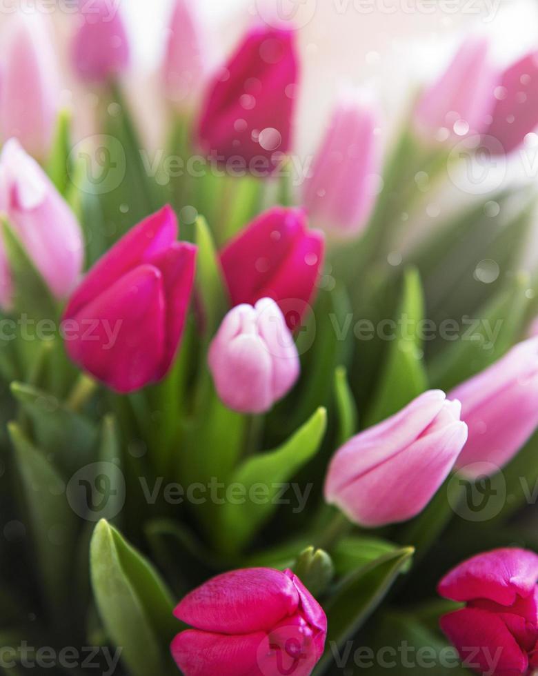 bellissimo bouquet di tulipani foto