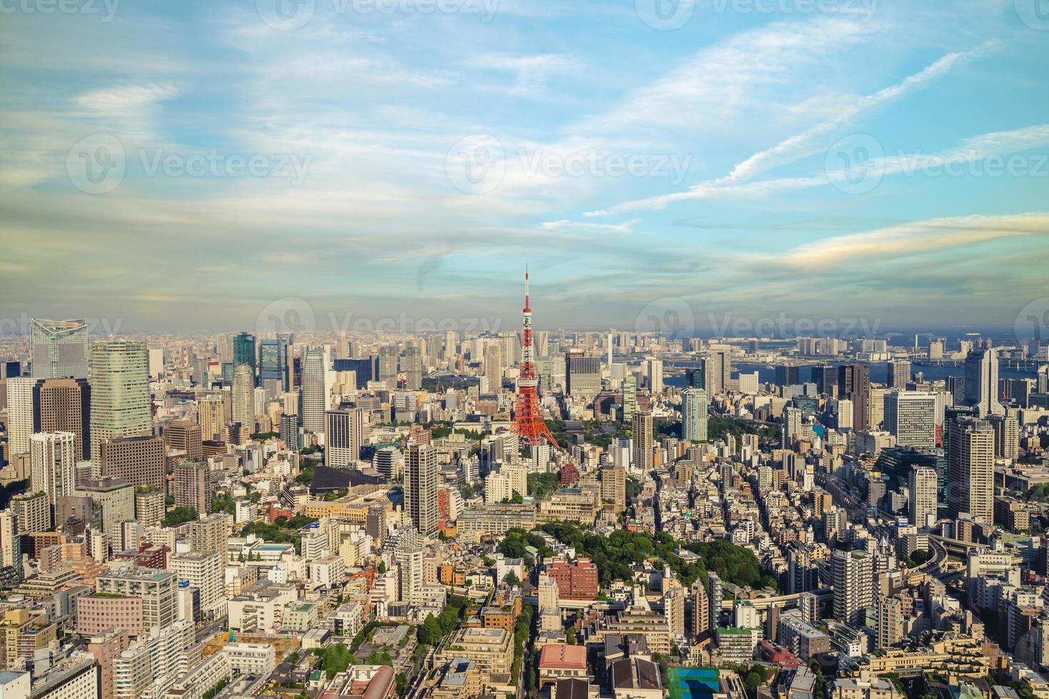 vista aerea di tokyo in giappone foto