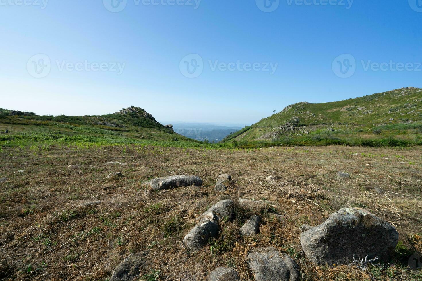 bellissimo verde valle a albergaria da serra, Portogallo. foto