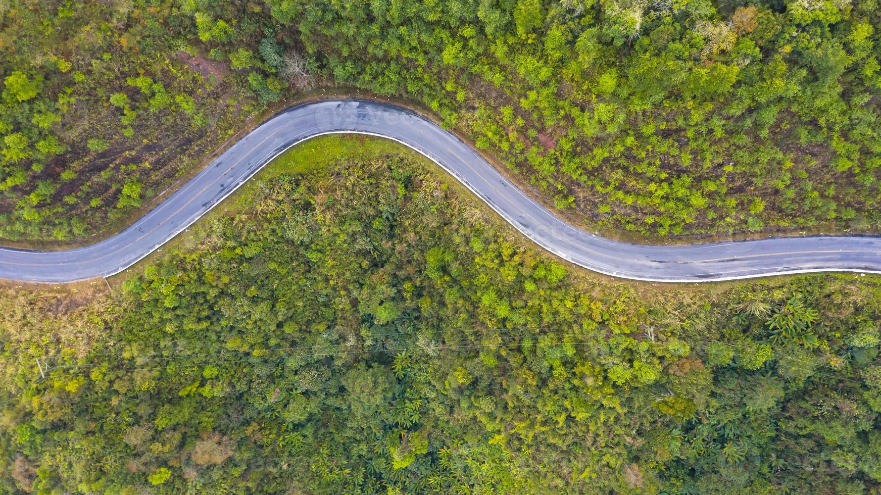 vista aerea dall'alto di una strada nella foresta foto