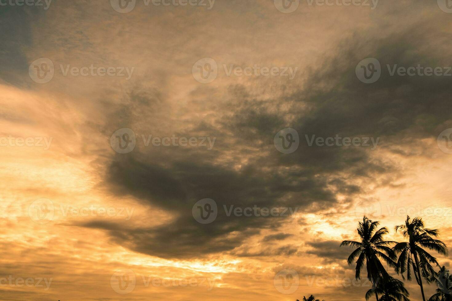 nube cielo d'oro tramonto forma Fenice foto