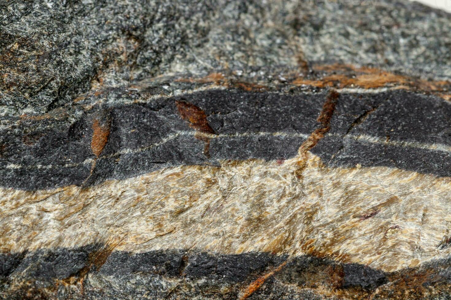 macro minerale pietra serpente occhio nel il roccia un' bianca sfondo foto