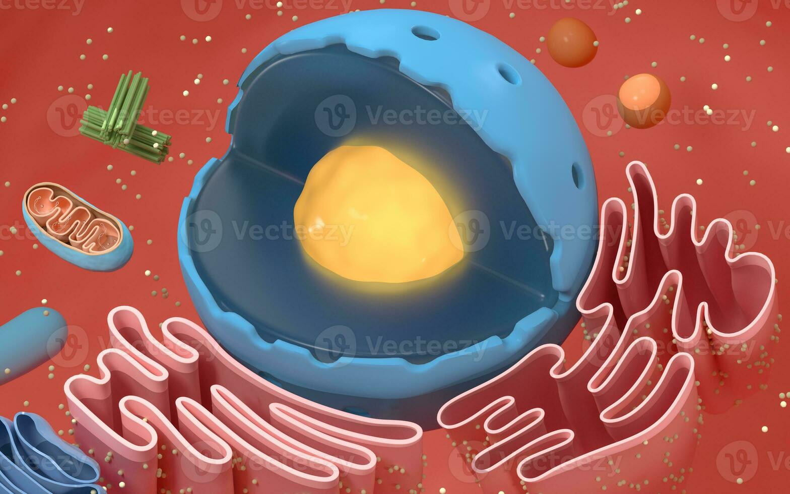 interno struttura di un animale cellula, 3d resa. sezione Visualizza. foto