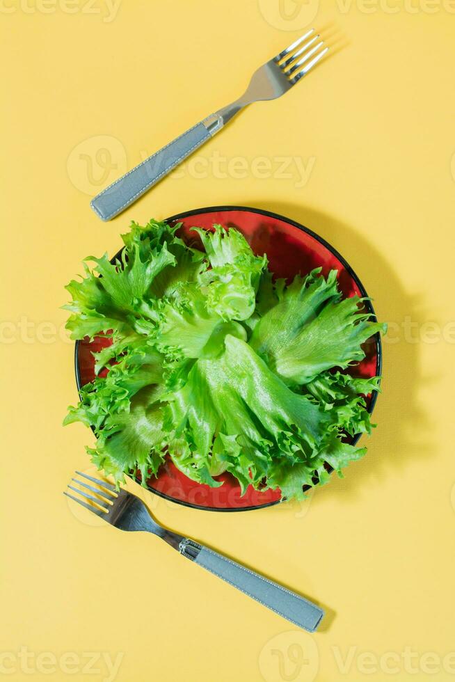 fresco le foglie di fregio lattuga su un' piatto e forchette su un' giallo sfondo. salutare mangiare e vegetarianismo. difficile luce. superiore e verticale Visualizza foto