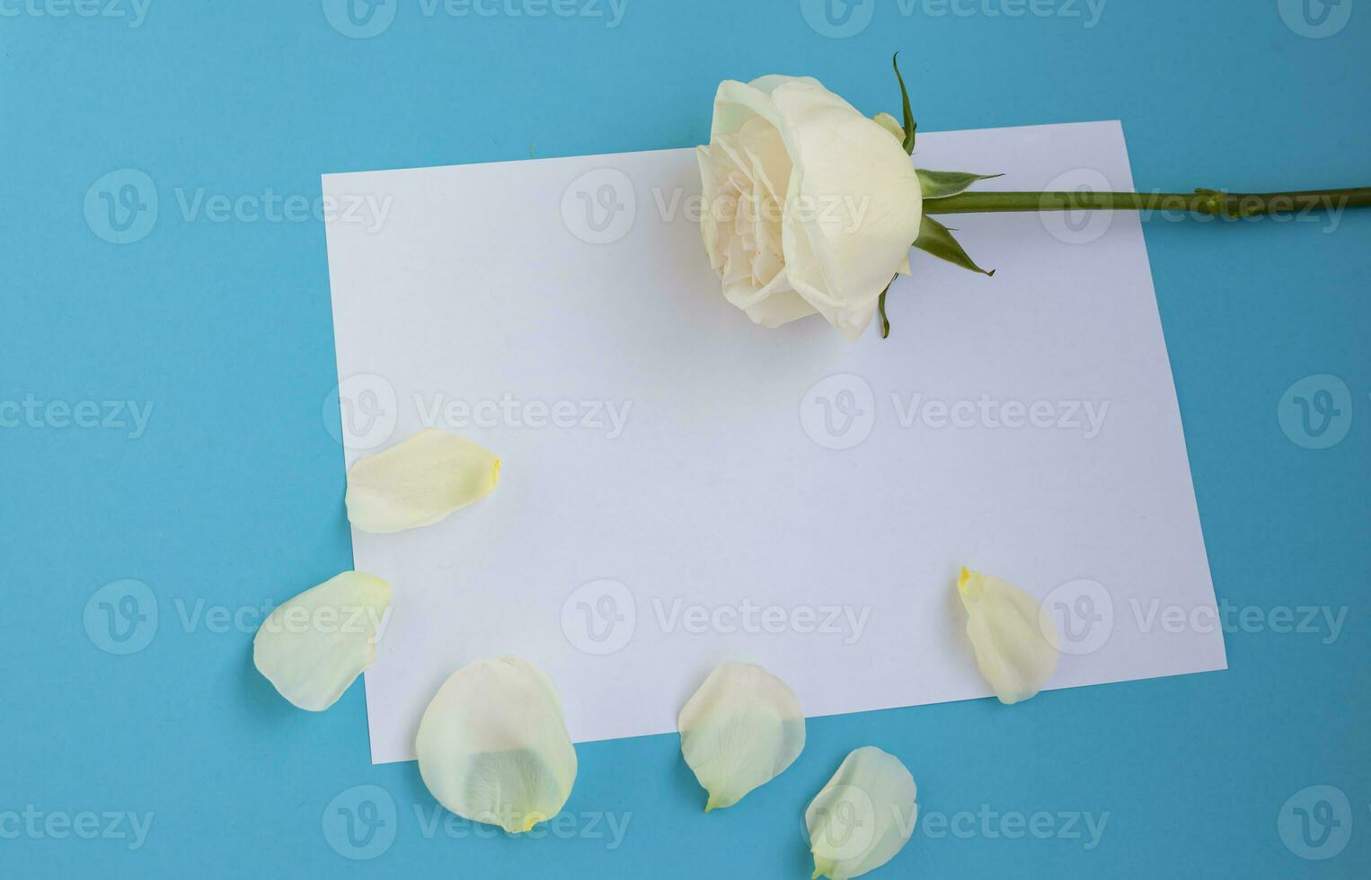 vuoto modello bianca carta foglio su colore sfondo, decorato fresco Rose fiori, floreale visivo piatto superiore Visualizza, gratuito copia spazio per il tuo testo. foto