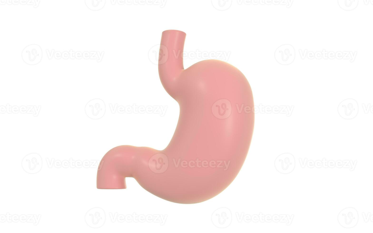 umano interno stomaco anatomia, 3d resa. foto