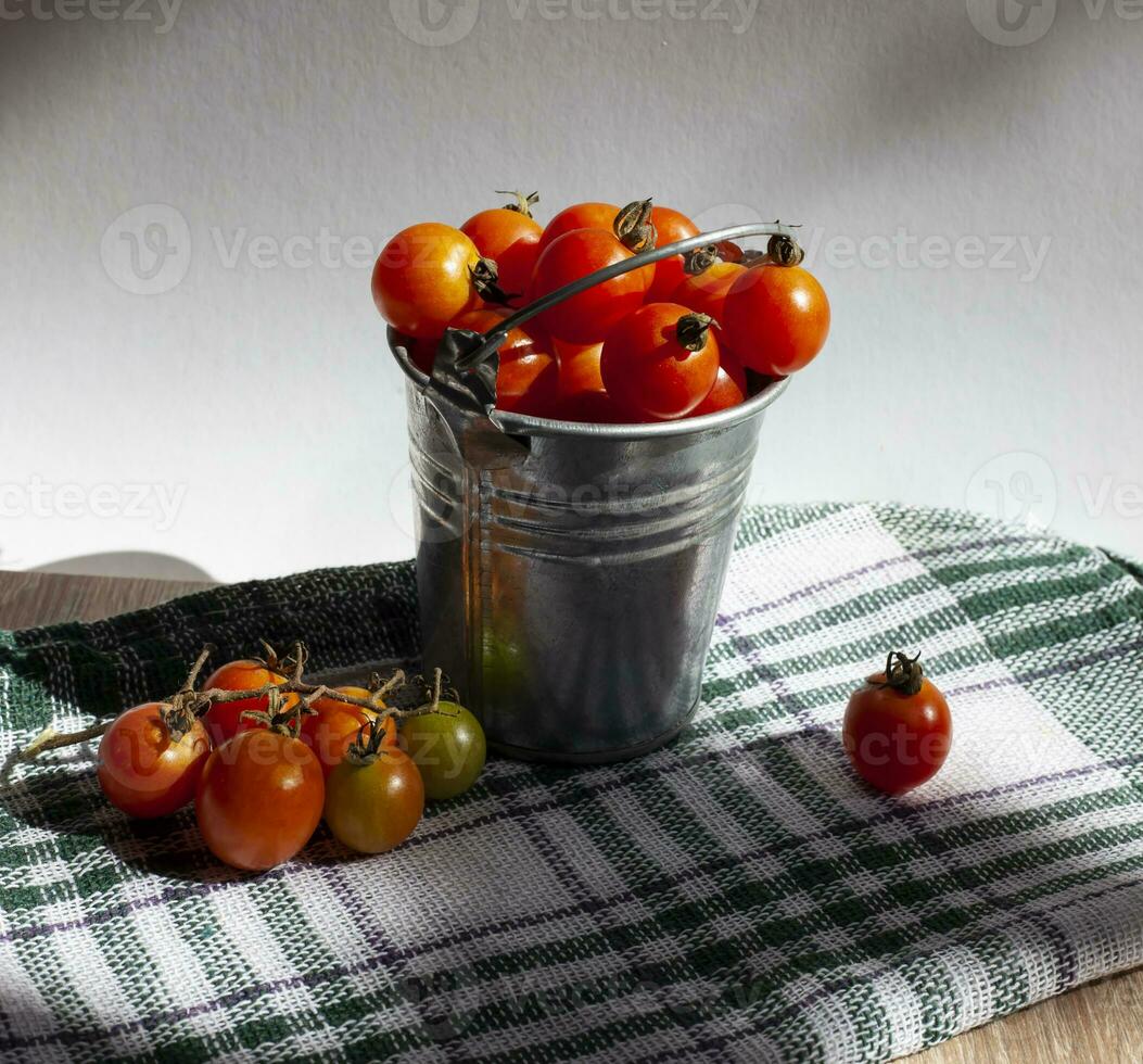 ciliegia pomodori nel un' secchio su un' tovaglia sotto il sole foto