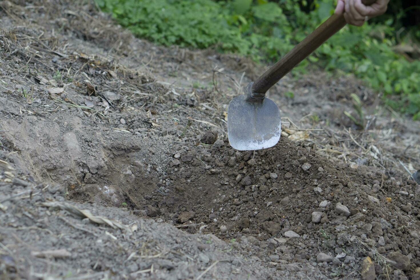 un' lungo maniglia Zappa è scavando suolo per fabbricazione buco per crescere impianti o alberi o fabbricazione buco per seppellire qualche cosa. concetto, tradizionale agricoltura attrezzo nel Tailandia. giardinaggio. foto