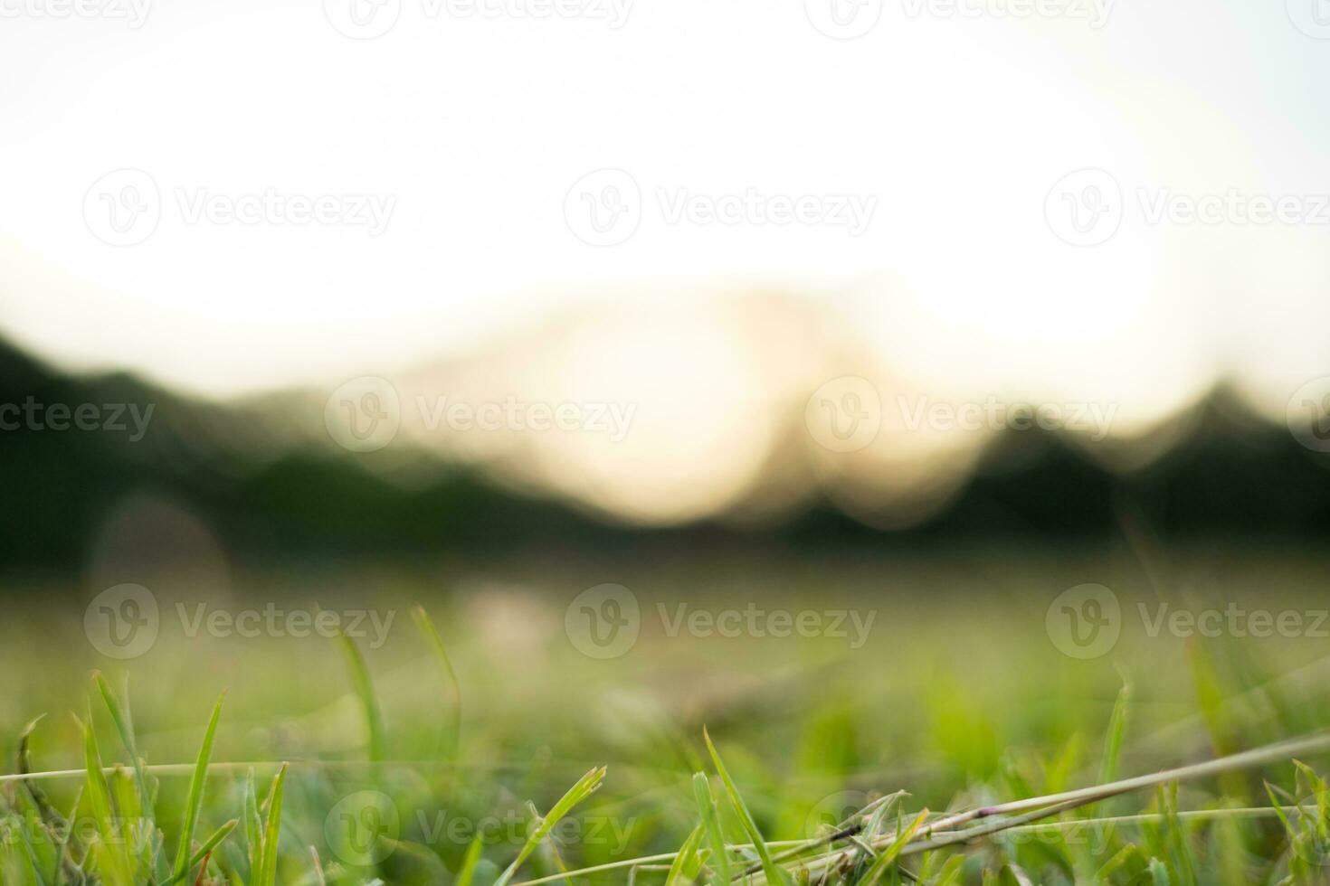 sfocato erba sfondo Immagine circolare bokeh a partire dal tramonto leggero foto