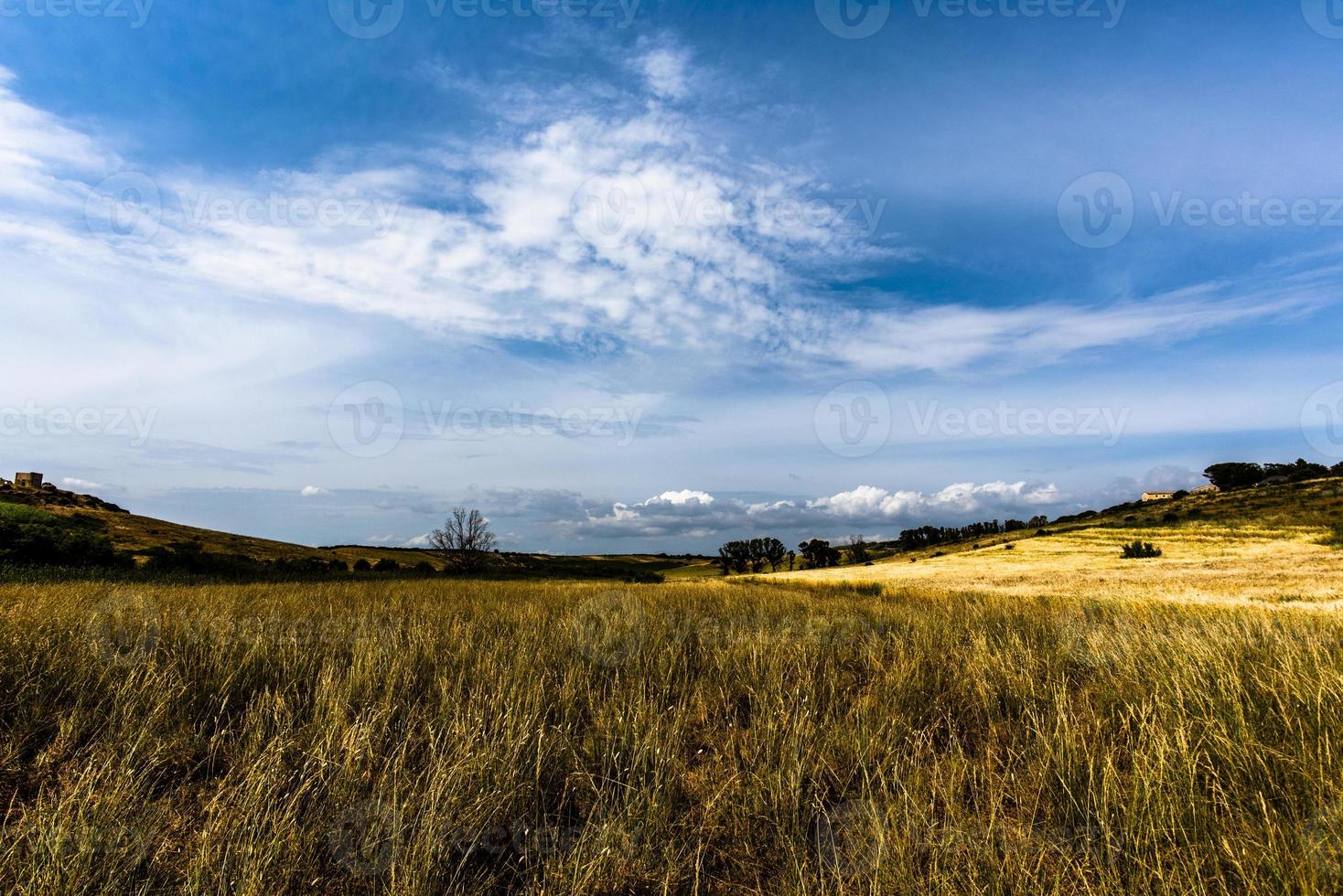 paesaggio a selinunte in sicilia, italia foto