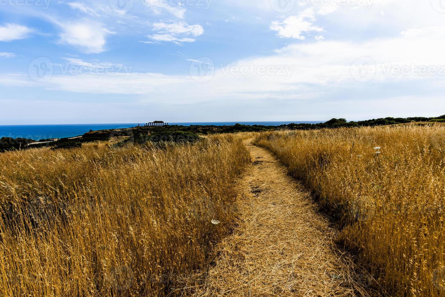 paesaggio a selinunte in sicilia, italia foto