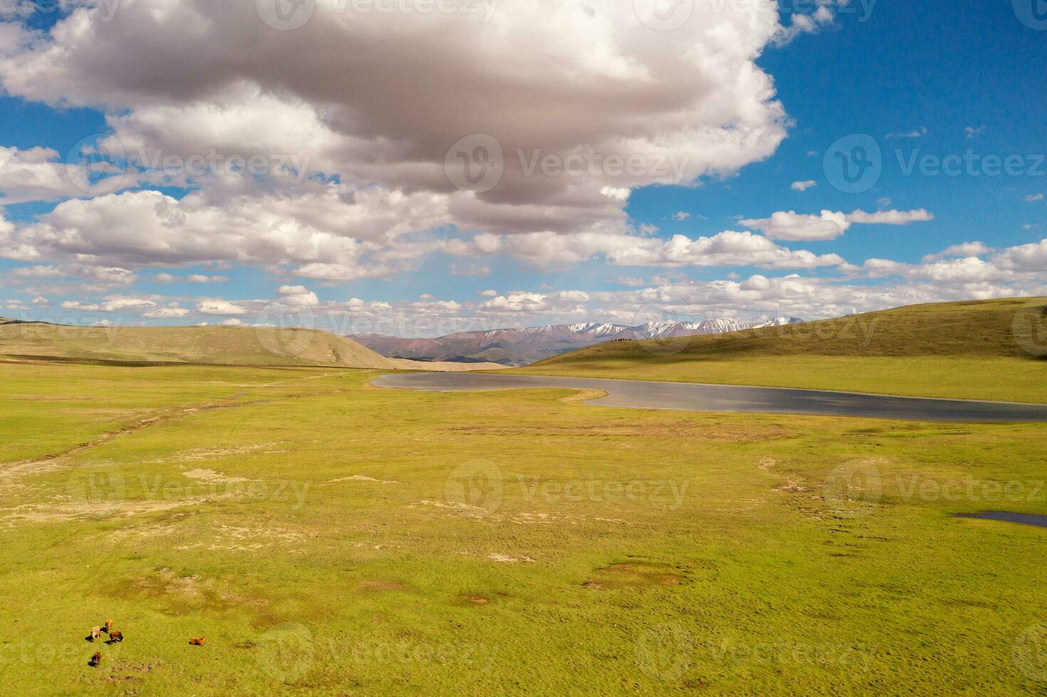 prateria con blu cielo e bianca nuvole. foto nel bayinbuluke prateria nel xinjiang, Cina.