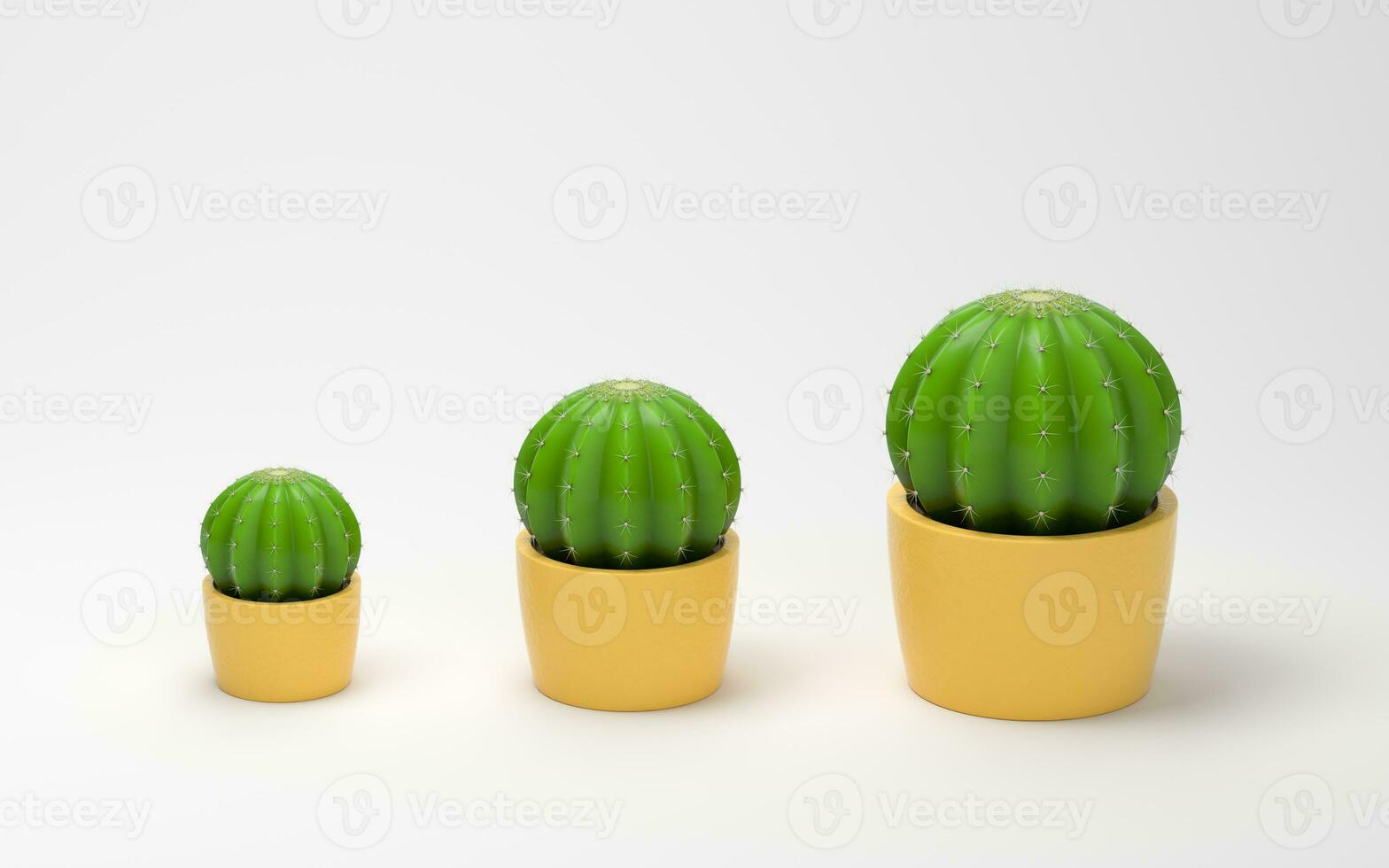 cactus con un' bianca sfondo, 3d resa. foto