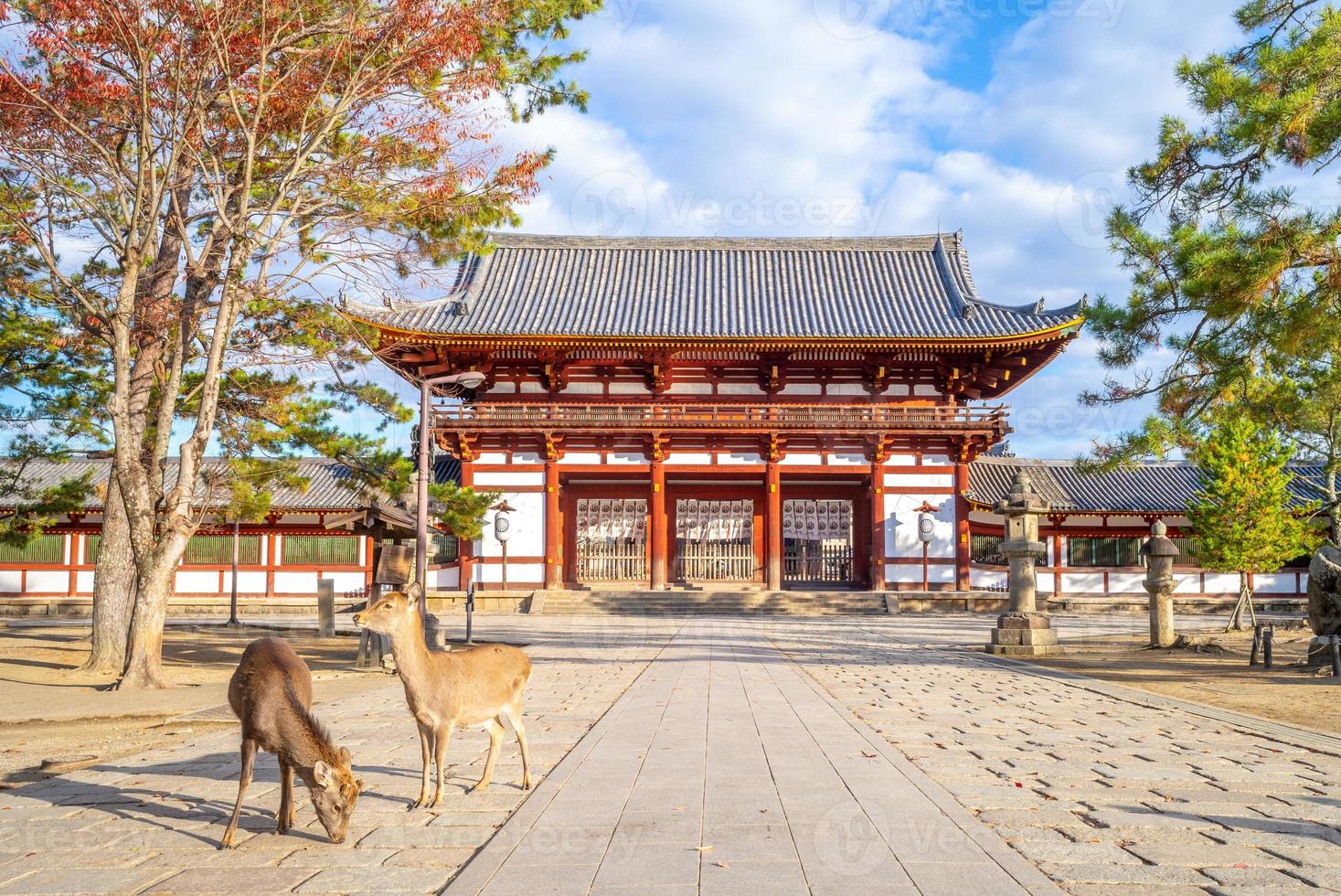 cervi e cancello centrale di todaiji a nara, in giappone foto