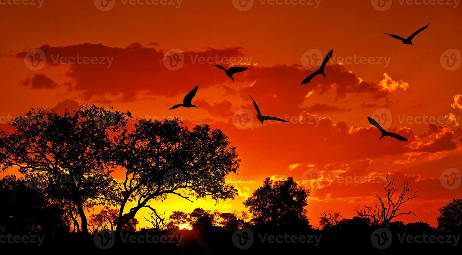 paesaggio di Africa con caldo tramonto foto