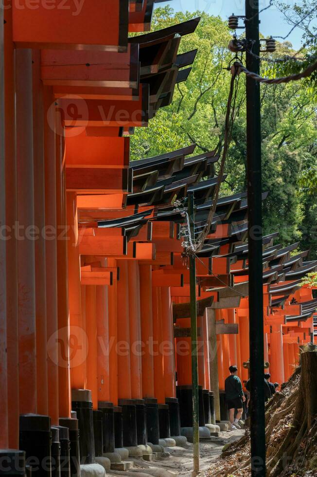 il santuario di il mille torii cancelli. fushimi inari santuario. esso è famoso per suo migliaia di vermiglio torii cancelli. Giappone foto