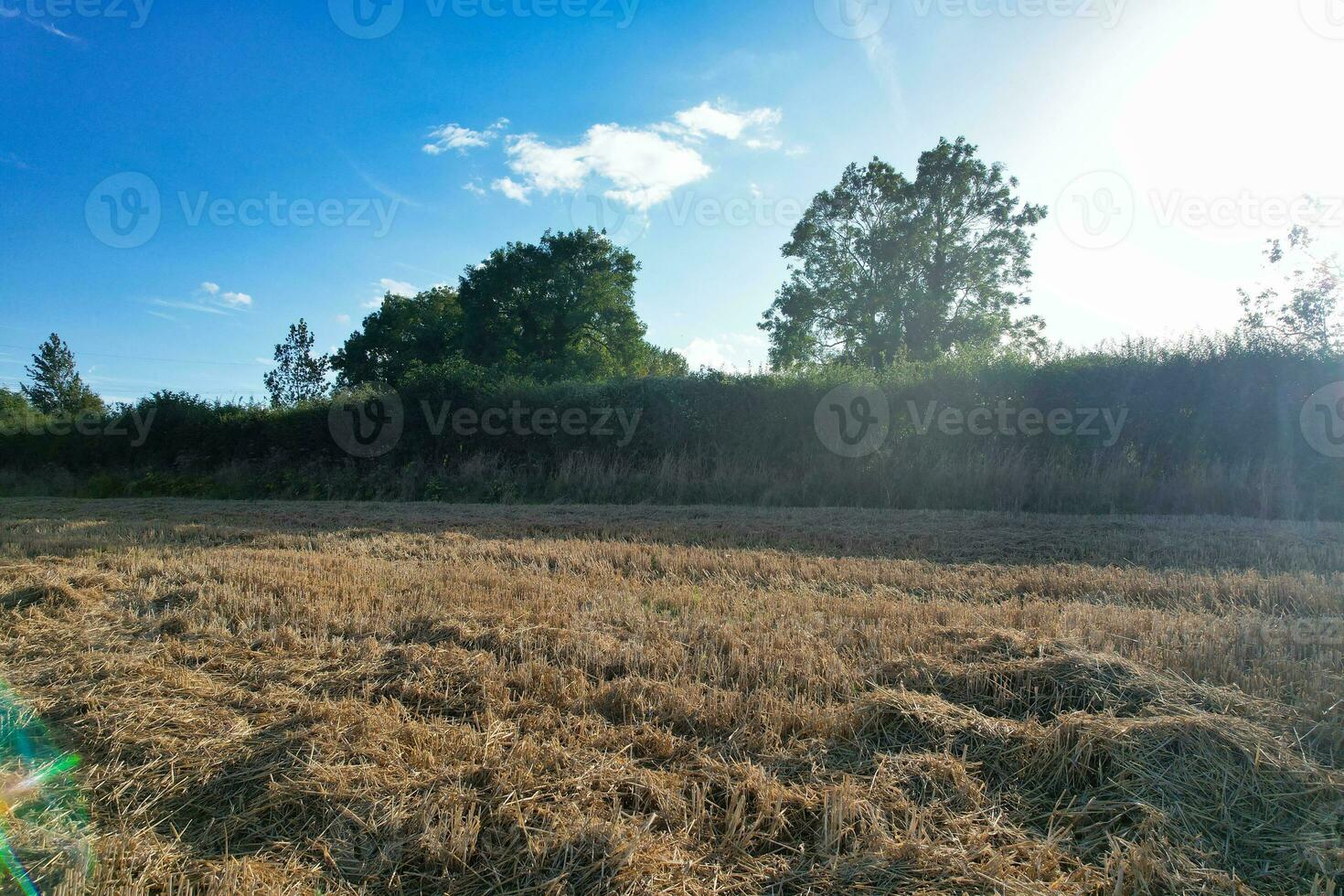 alto angolo metraggio di Britannico agricolo aziende agricole a campagna paesaggio nelle vicinanze luton città di Inghilterra grande Gran Bretagna di UK. metraggio era catturato con di droni telecamera su agosto 19, 2023 foto