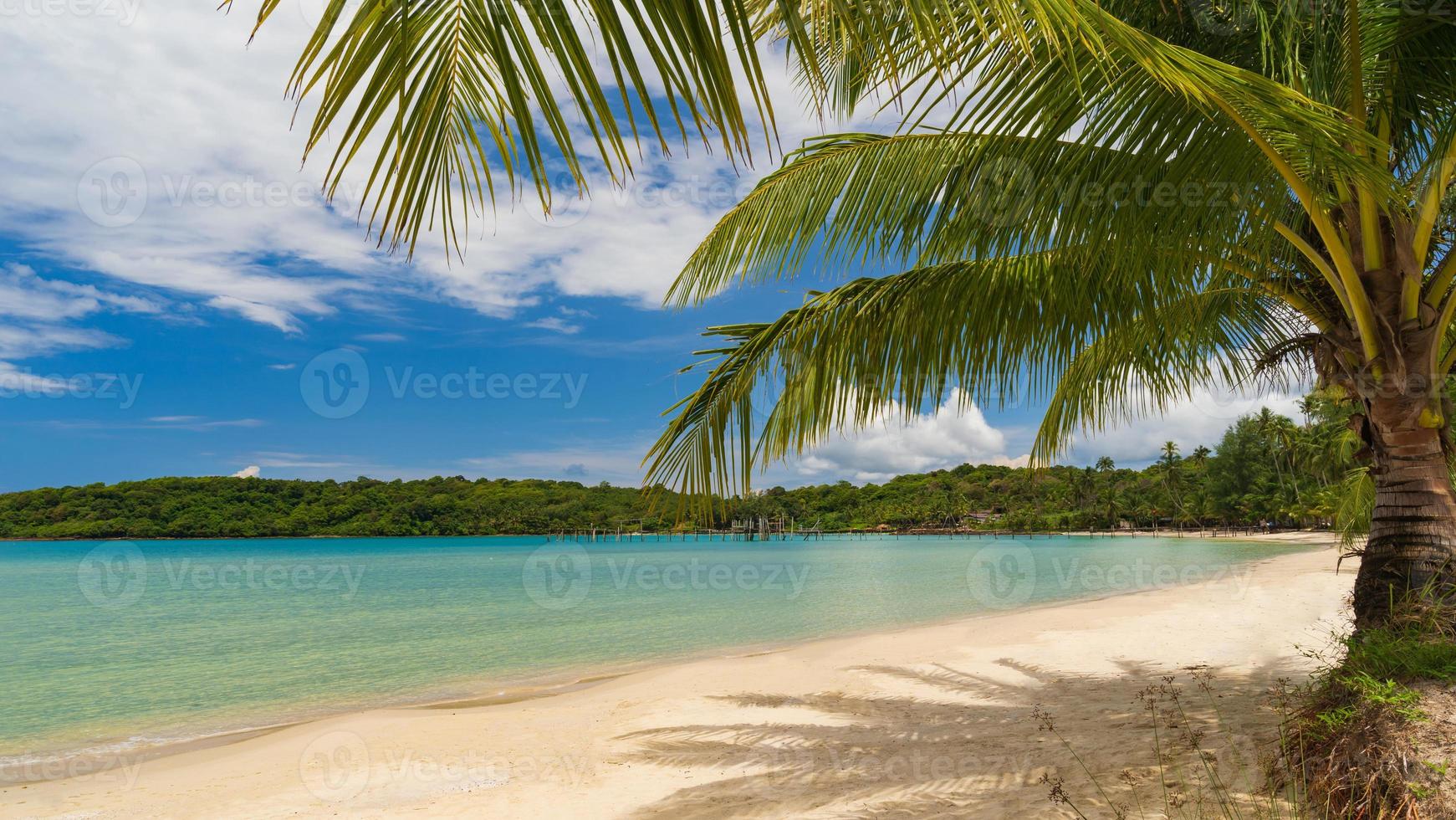 bellissima spiaggia tropicale e mare con palme da cocco sotto il cielo blu foto