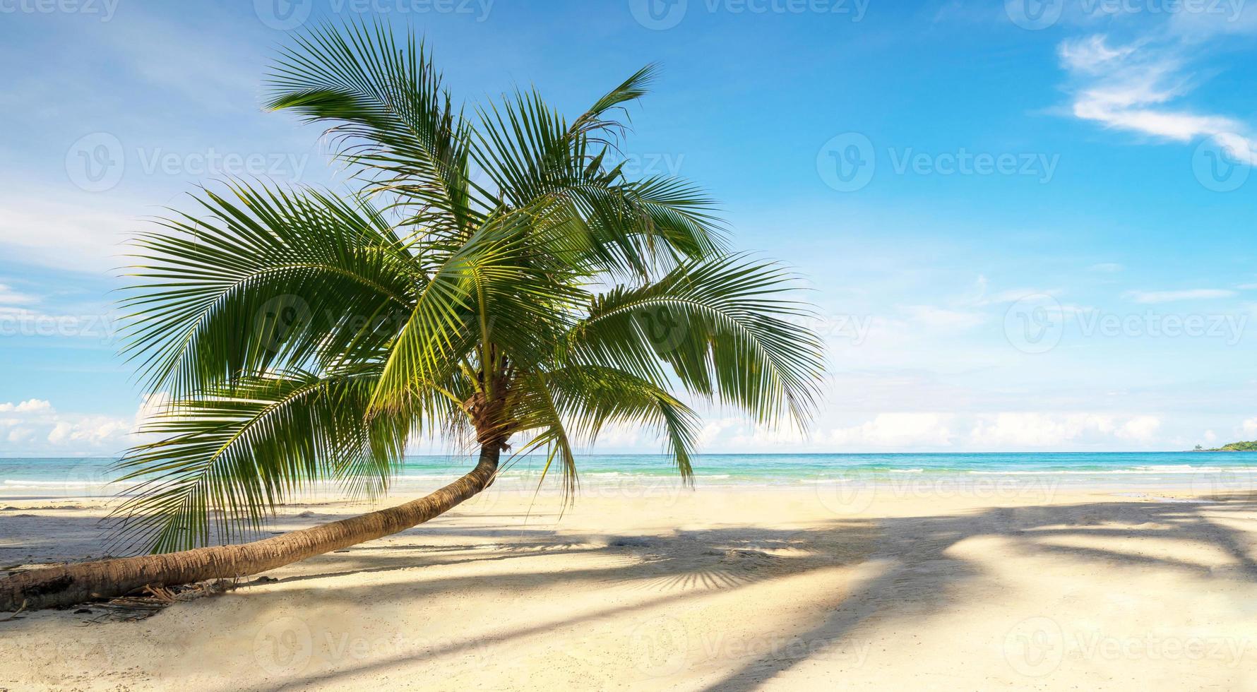 bellissima spiaggia tropicale e mare con palme da cocco sotto il cielo blu foto